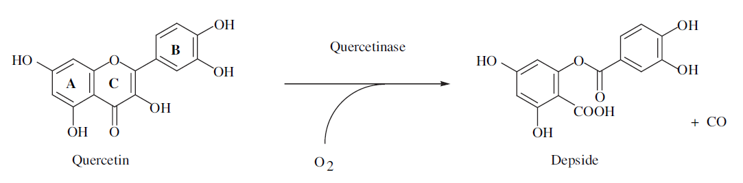 Querctinase